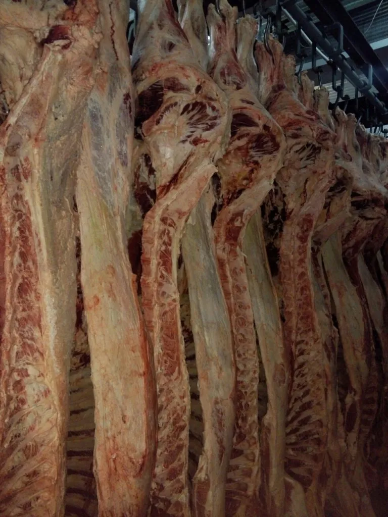 мясо корова охлажд. в Владивостоке