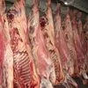 баранина, говядина в СПб от 5 тонн в Владивостоке 2