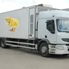 перевозка суточных цыплят в Санкт-Петербурге