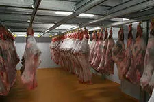 фотография продукта Холодильные камеры хранения мяса