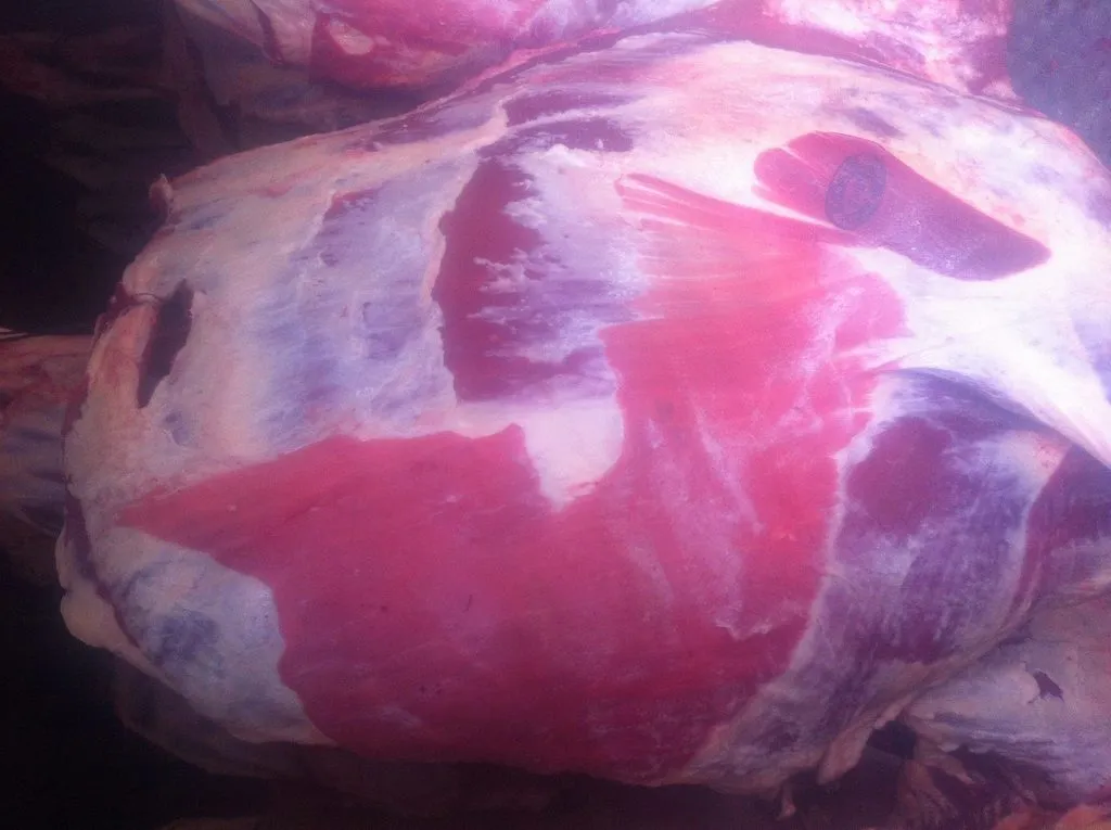 фотография продукта Мясо коровы охлажденное из Рб
