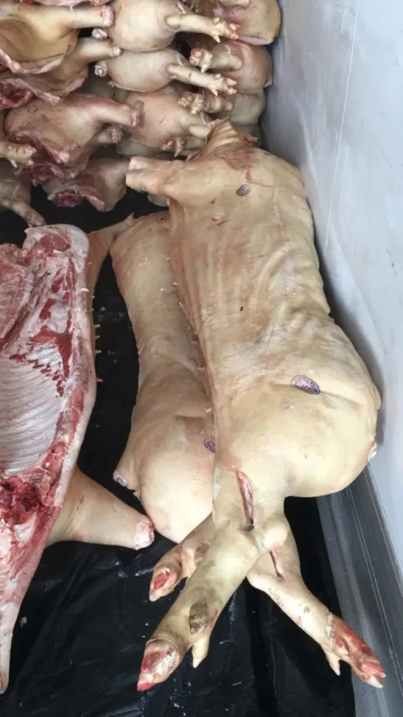 фотография продукта Полутуши свиные (свиноматки), говяжьи