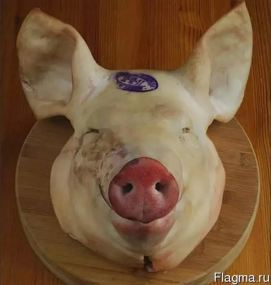 фотография продукта Головы свиные целые. 25 руб/кг