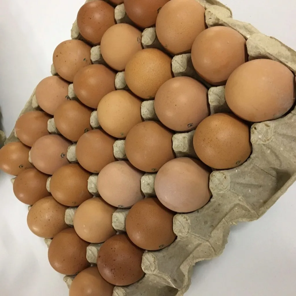 фотография продукта Купим куриное яйцо оптом