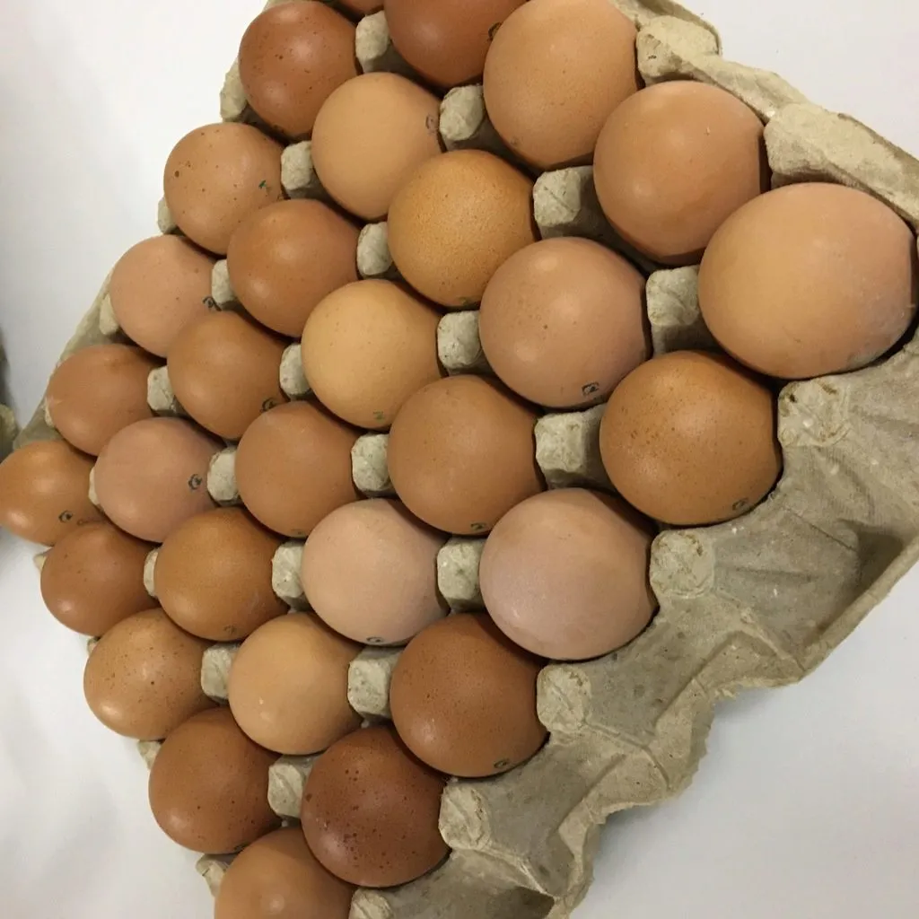 фотография продукта Куриное яйцо оптом в СПб
