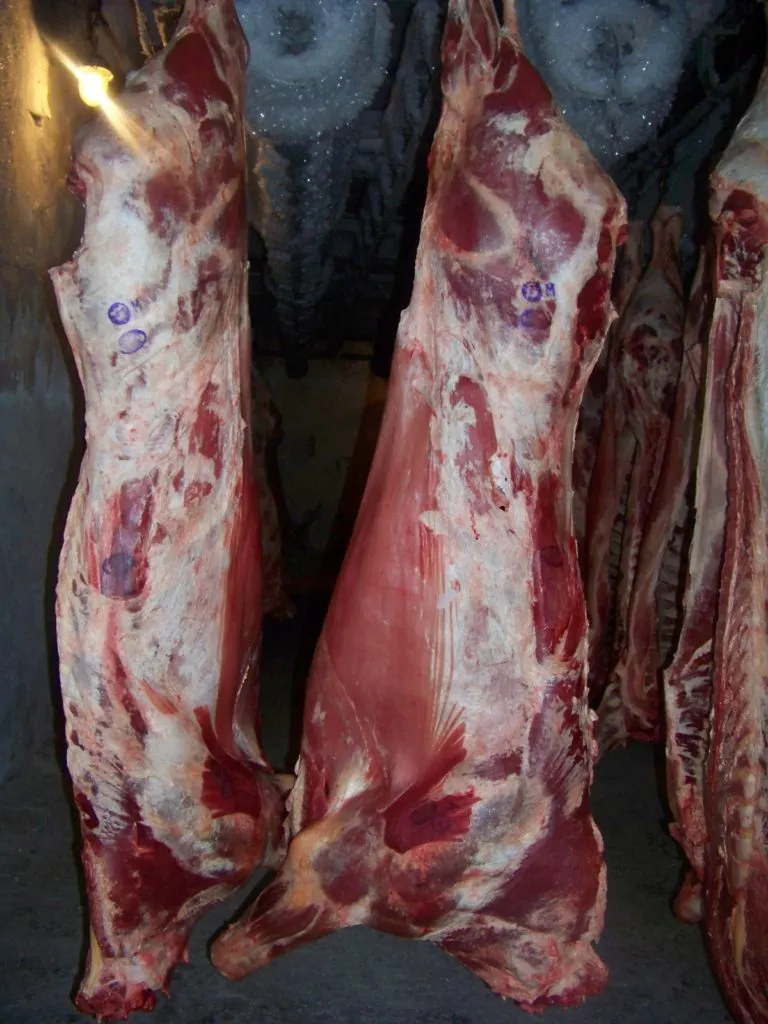 фотография продукта   Мраморная говядина с Алтайского края
