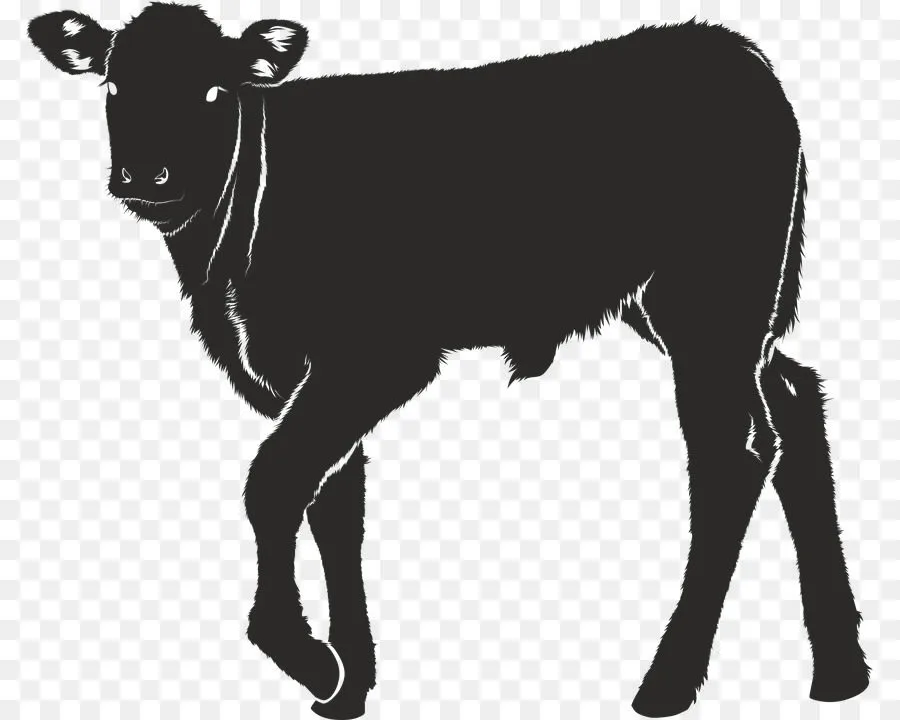 быков на убой вес от 420 кг в Санкт-Петербурге 3