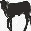быков на убой вес от 420 кг в Санкт-Петербурге 3