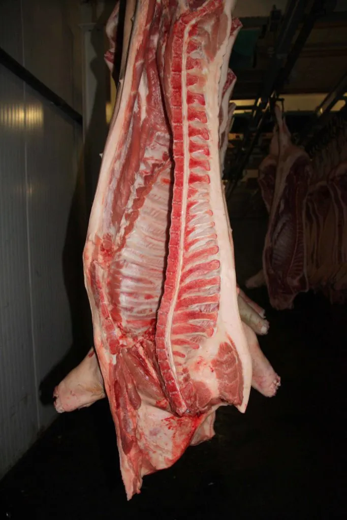 фотография продукта Продам свинину оптом до 40т