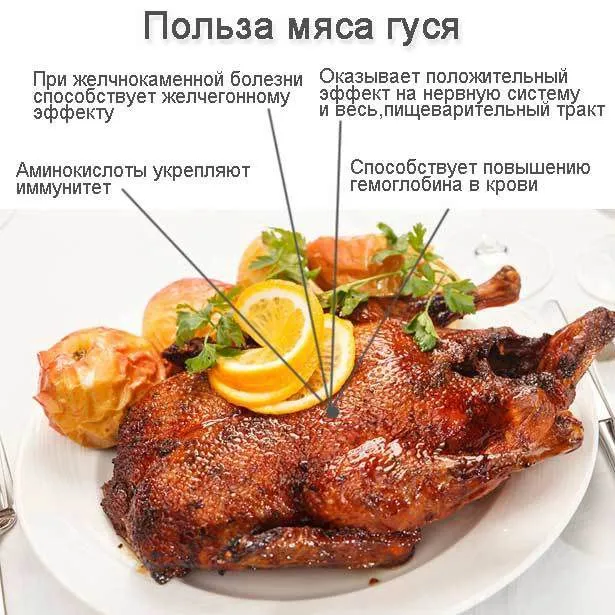 мясо гуся - тушка в Санкт-Петербурге