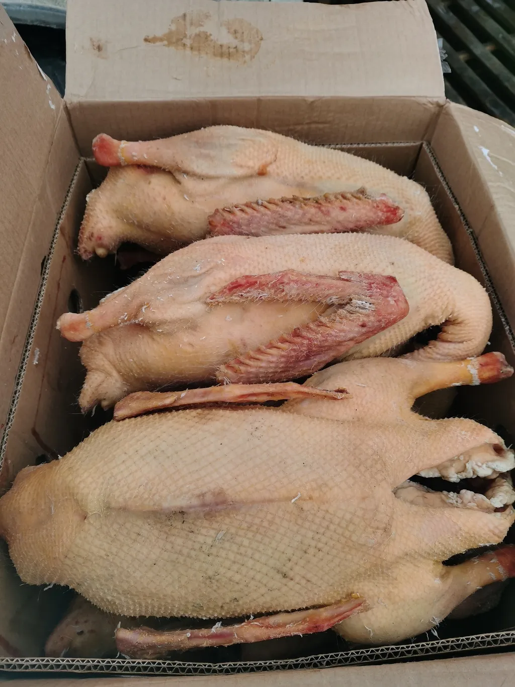 фотография продукта Мясо домашней птицы 