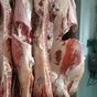 мясо говядина полутуши Быка 1 категории в Санкт-Петербурге 13