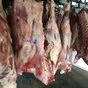 мясо говядина полутуши Быка 1 категории в Санкт-Петербурге 15