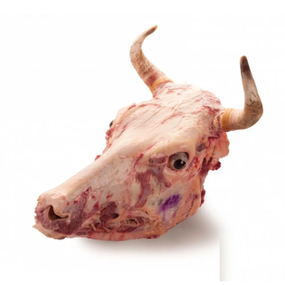фотография продукта Приобрету говяжьи Головы зам и охл 